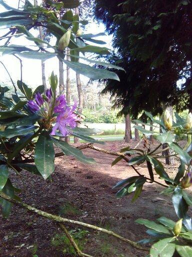 Helpende Hand Villa Oelegem ภายนอก รูปภาพ